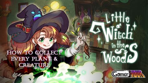 Unraveling the witch's past in Little Witch in the Woods: A wiki investigation
